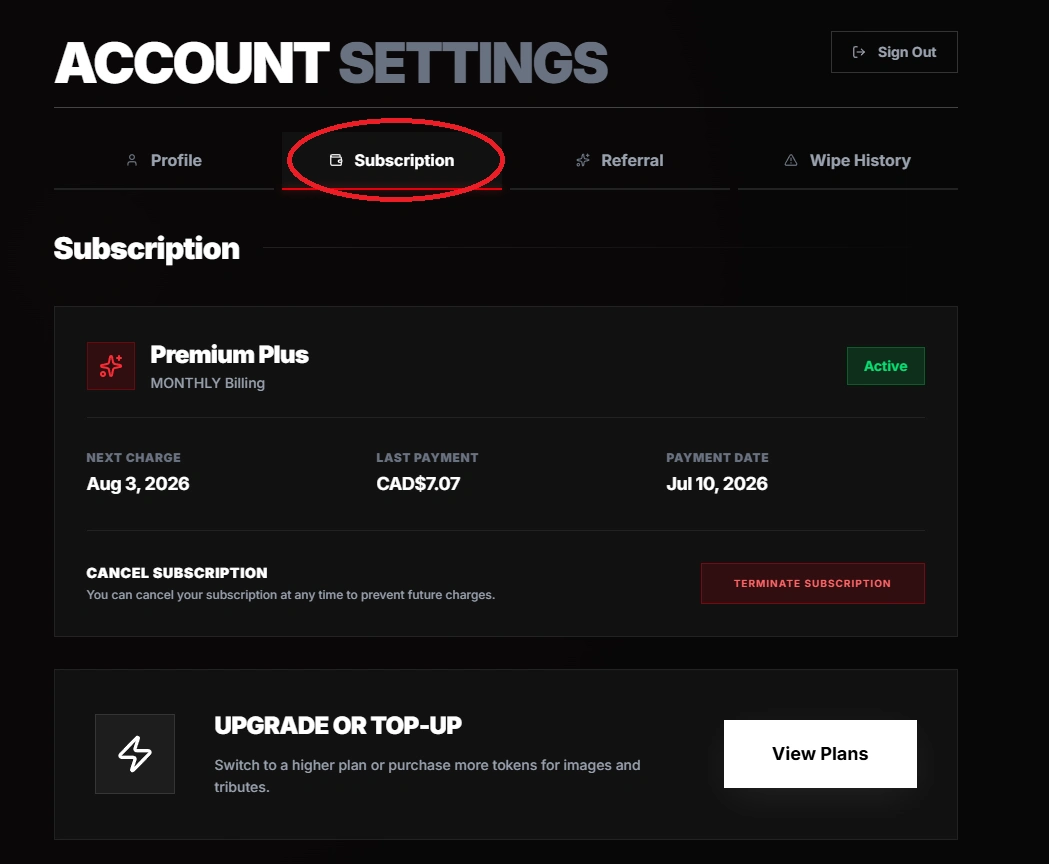 Settings Subscription tab with plan, status, and access dates.