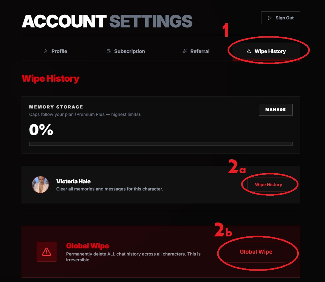 Settings with the Wipe History tab selected.